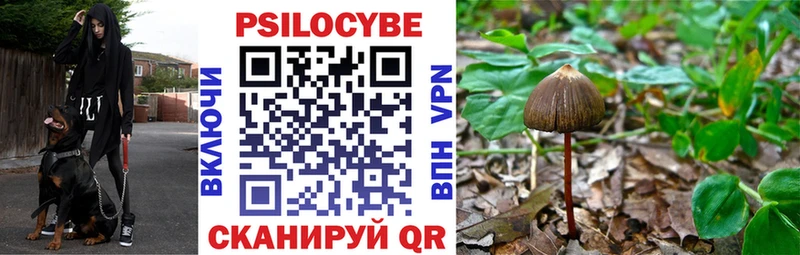 Галлюциногенные грибы Psilocybine cubensis  Тольятти 